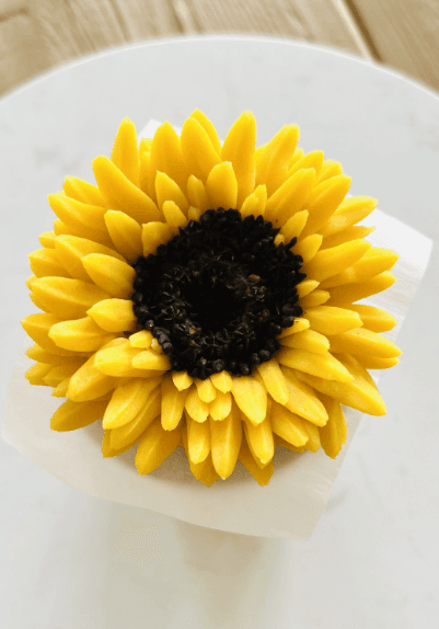 Beginner level tutorials featuring simple cake decorating techniques