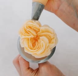 The Essential Flower Piping Kit, Tuned 