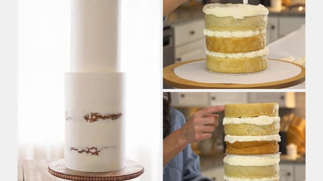 The Cake Decorating Series - Techniques
