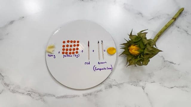 The Sunflower Series