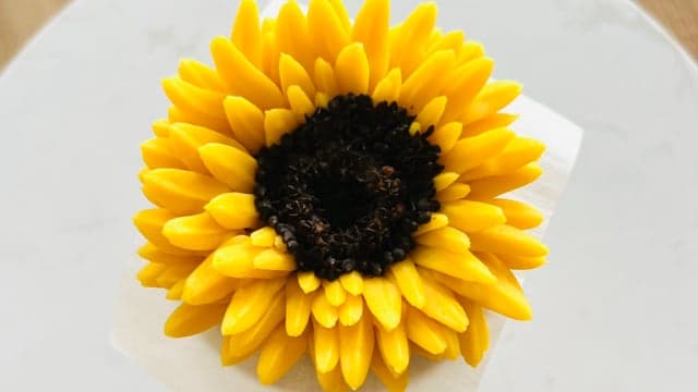 The Sunflower Series