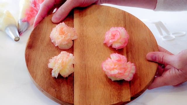 The Carnation Series