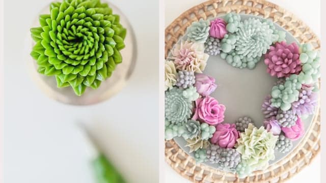 The Succulent Flower Series
