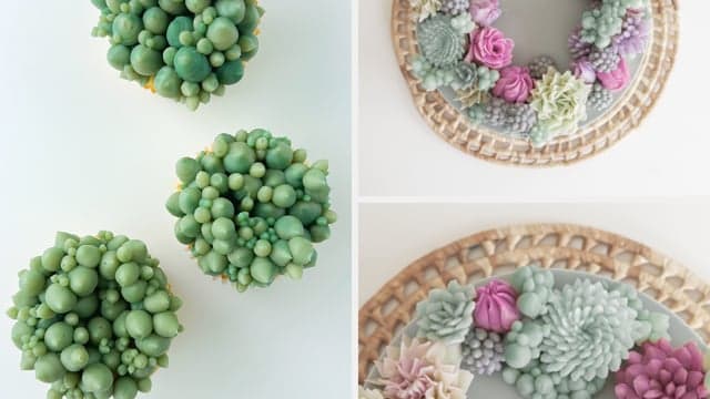 The Moonstone Succulent