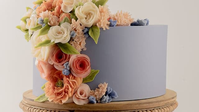 The Shirley Temple Peony